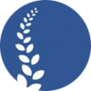 Kupeev Clinic